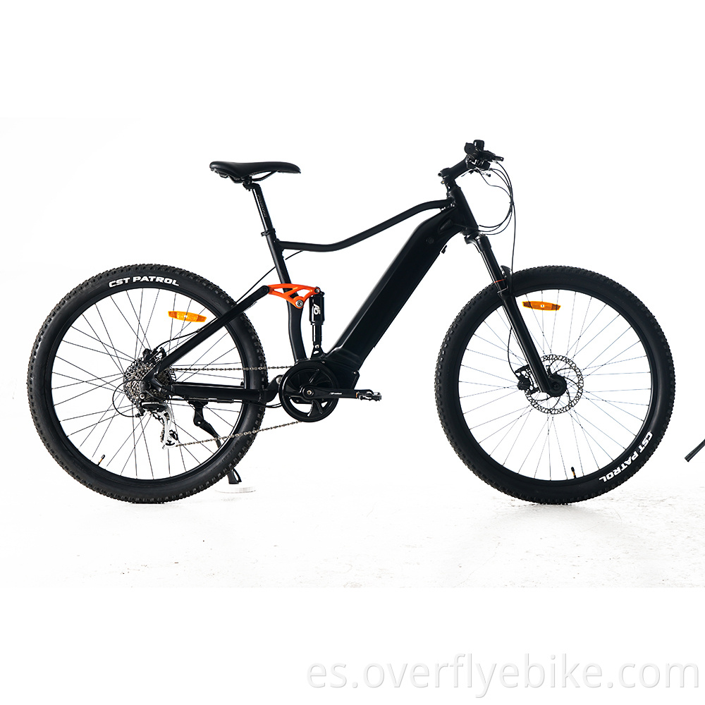 MID motor electric bike